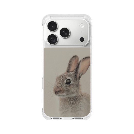 European rabbit