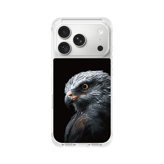 Black Kite
