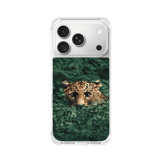 Leopard in the Jungle