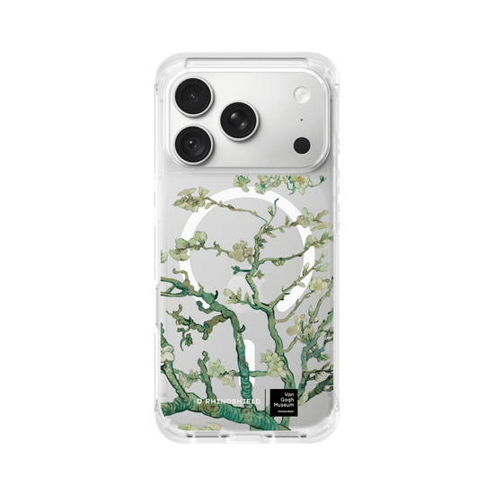 Amandier en fleurs - Transparent