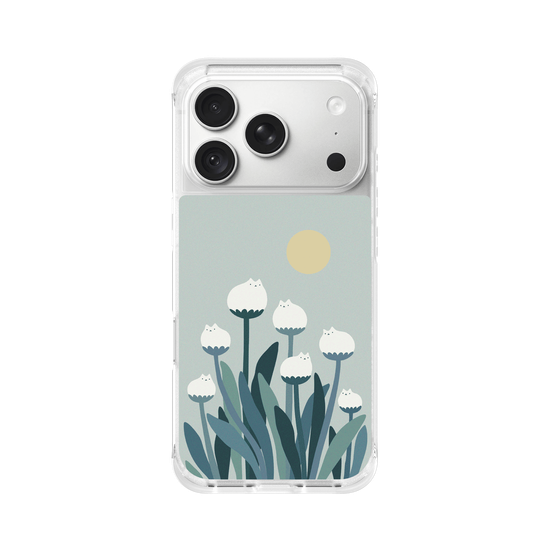 White Cat Flowers - 白貓花朵