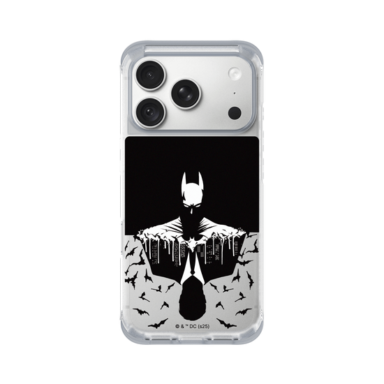 Batman - Bruce/Batman