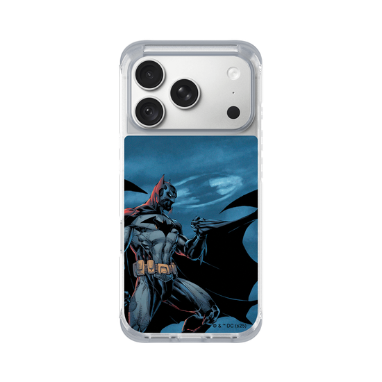 Batman - Bat in the night