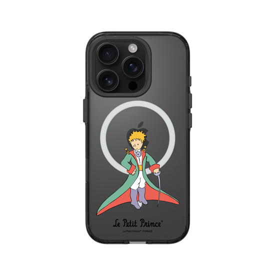 The Little Prince In Majesty