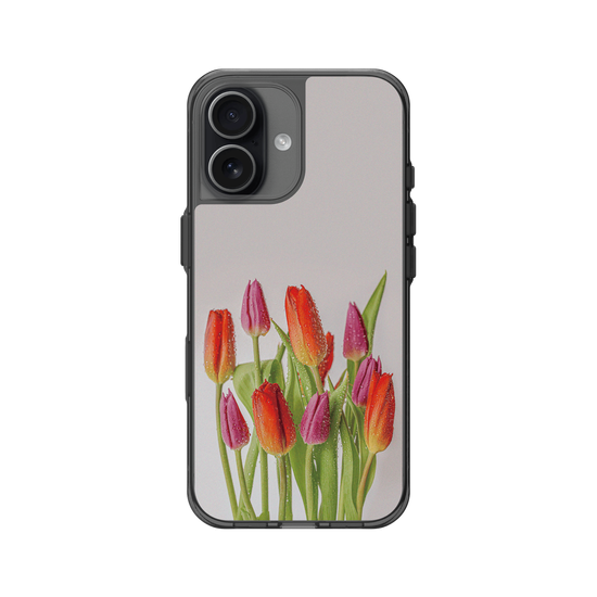 Tulips 鬱金香