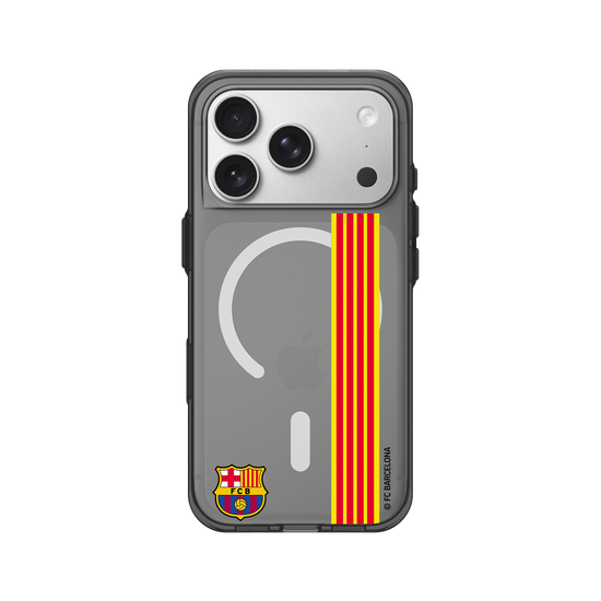 Orgullo Senyera