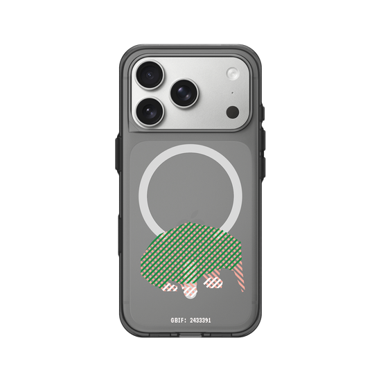 Long-beaked Echidna