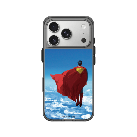 Superman - In The Skies