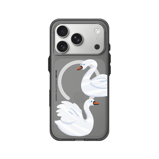 Two Swans