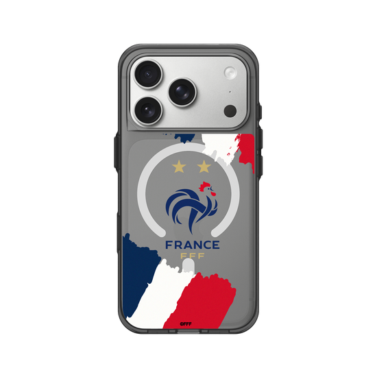 Logo - Flag
