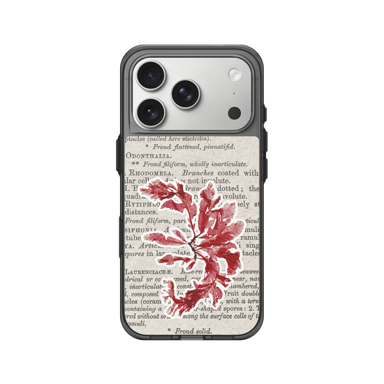 Herbaria Textures