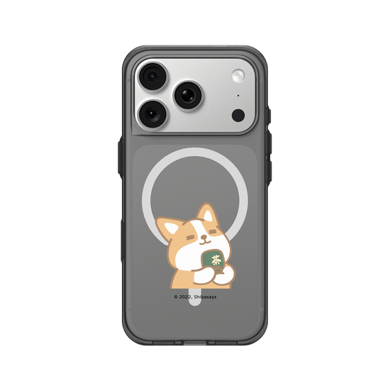 Corgi matcha