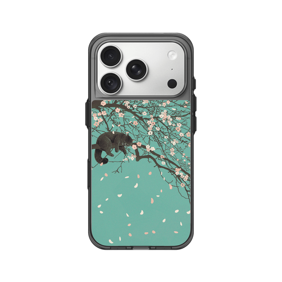 Cherry Blossom