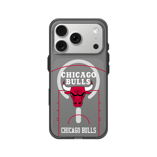 Chicago Bulls - Court