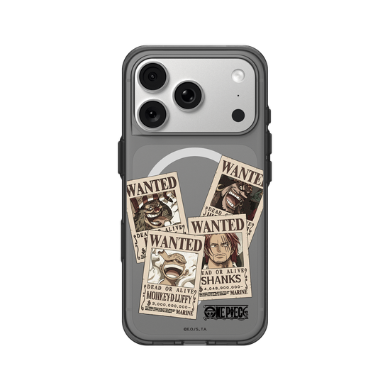 One Piece - Wanted Posters