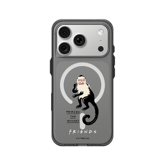Marcel the monkey