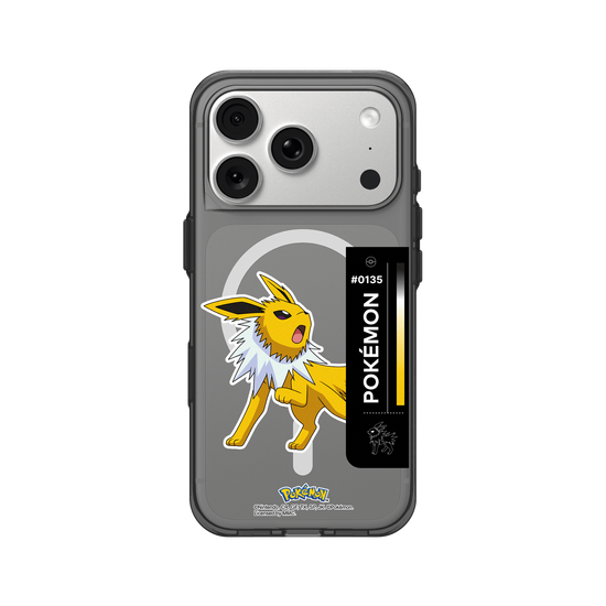 Pokémon Color-雷伊布