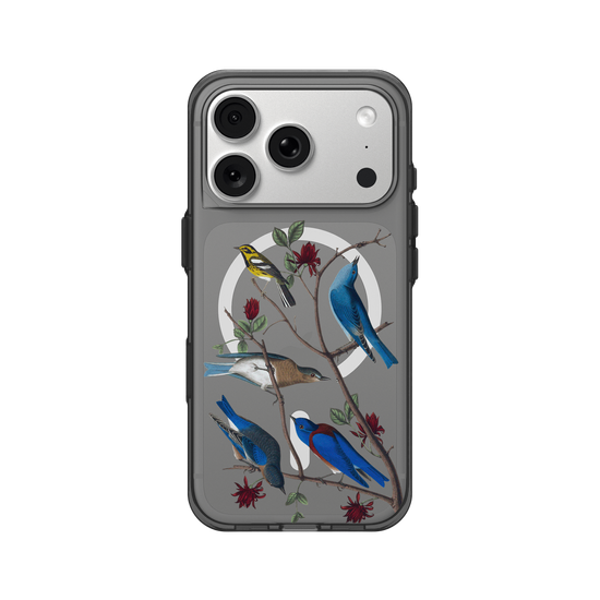 Birds of America - Townsend's Warbler & Blue Birds