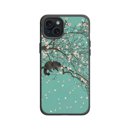 Cherry Blossom