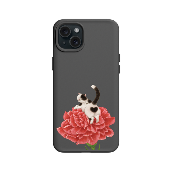 Carnation