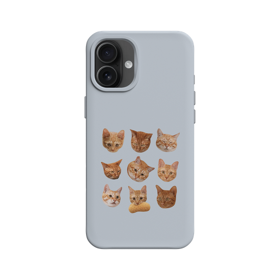 Shubingcat Grid