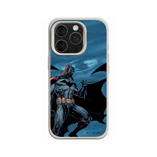 Batman - Bat in the night