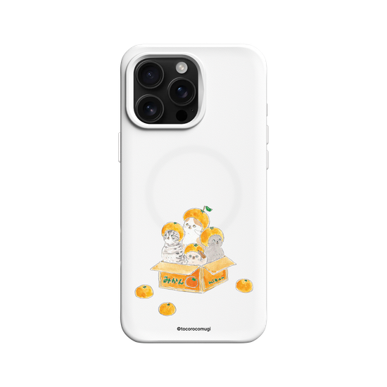 Cat's Mikan Box