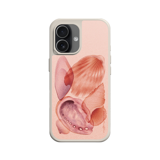 Shells