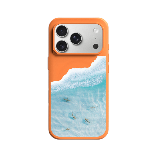 Shark Bay Snorkeling