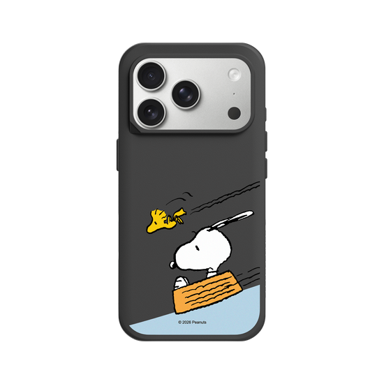Snoopy Sliding