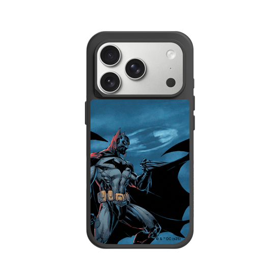 Batman - Bat in the night