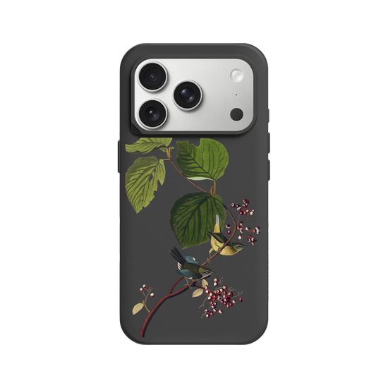 Birds of America - Pine-Tufted Warblers