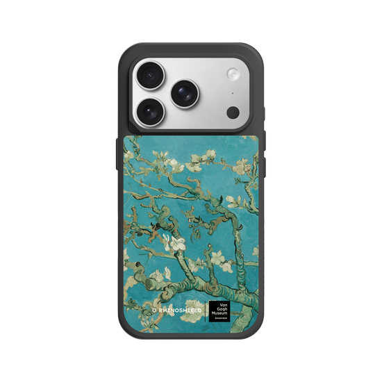 Almond Blossom