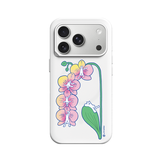 Catorchid