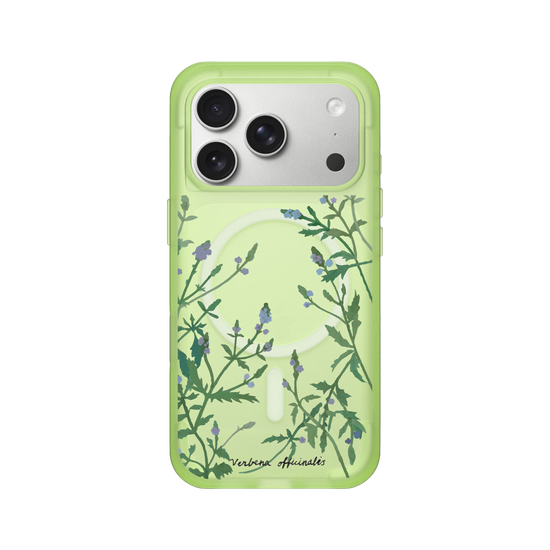Verbena