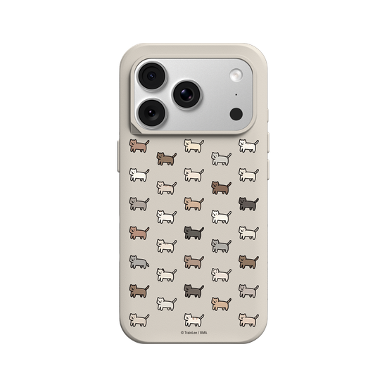 Little Cattos
