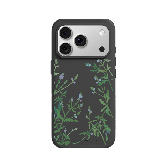 Verbena