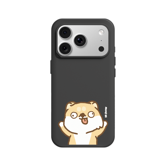 SHIBA