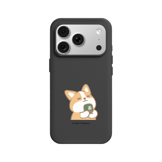 Corgi matcha