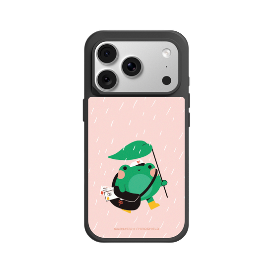 Frog Postman