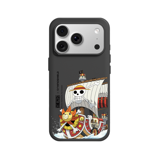 Thousand Sunny