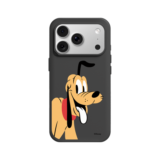 Look at the camera-布魯托