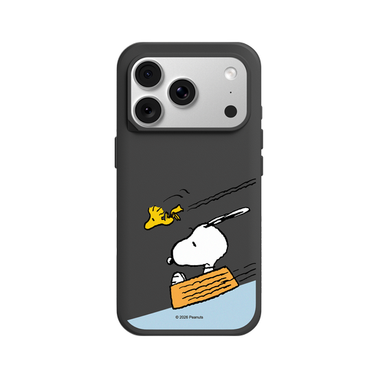 Snoopy Sliding