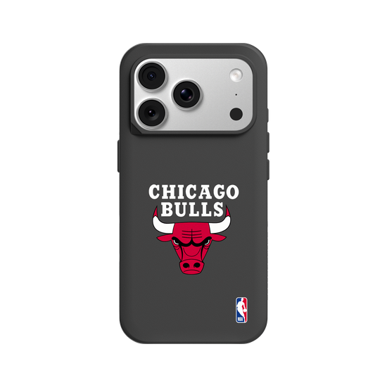 Logo-芝加哥公牛 Chicago Bulls - Light