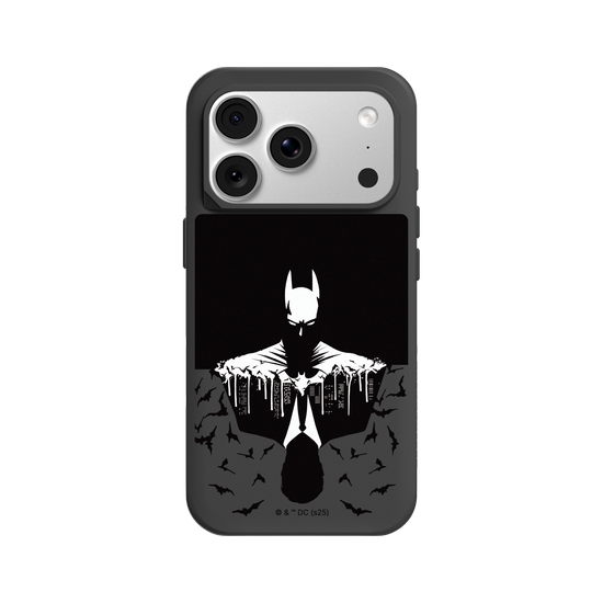 Batman - Bruce/Batman