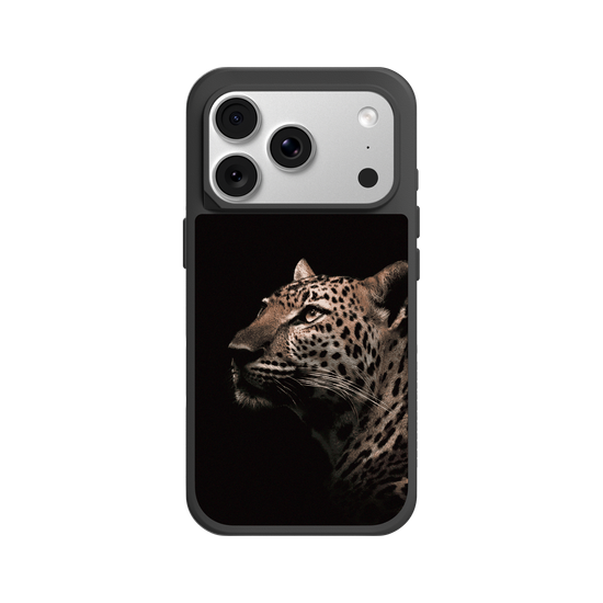 Indochinese Leopard