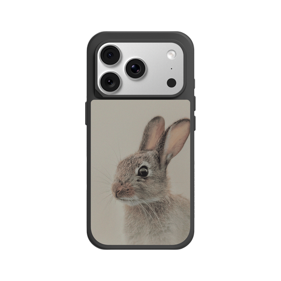 European rabbit