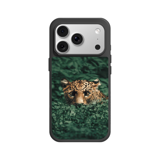 Leopard in the Jungle