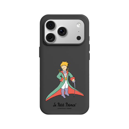The Little Prince In Majesty