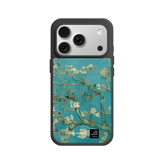 Almond Blossom